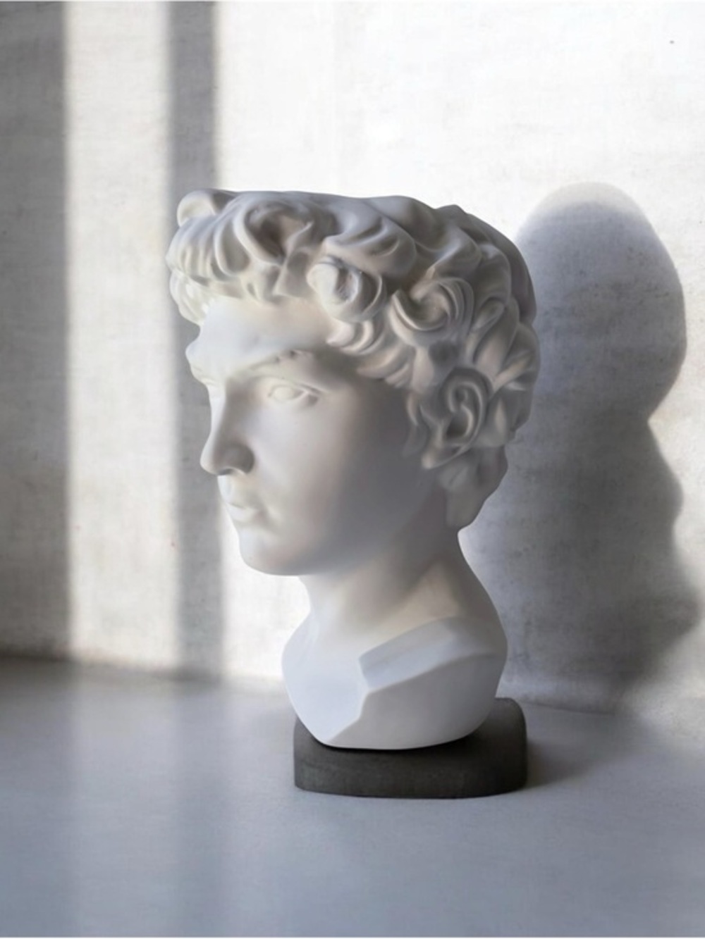 Classic Bust of David Sculpture Statue planter antique statue new